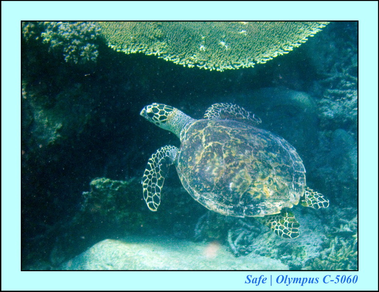 2008 - 07 - Leng Tengah - 080